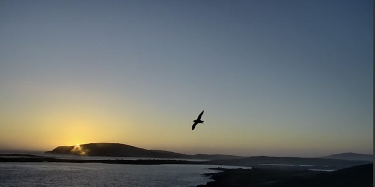 RedEye Sunset