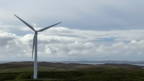 Burrafirth live frame